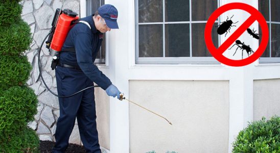 Çatak Böcek ve Haşere İlaçlama böcek ilaçlama ve haşere kontrolü — ilaclama-tr.com